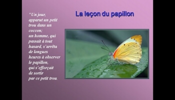 La leçon du papillon