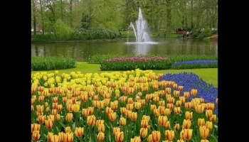 Le Keukenhof