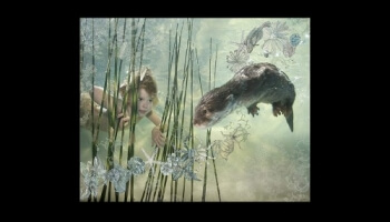 Oeuvres sous-marines de Zena Holloway