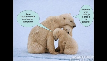 Tendresse maternelle animale et mots d'enfants