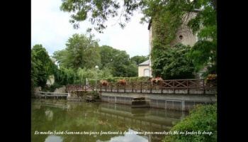 Promenade le long du Loiret