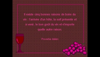 Bon vin ne saurait mentir