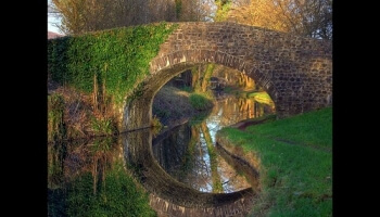Reflets merveilleux