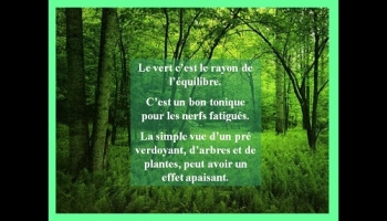L'influence de la couleur