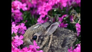 Des photos colorées