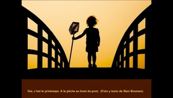 Concours de photographies 2010
