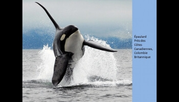 Concours de photos de National Geographic 2010